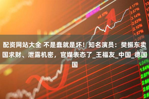 配资网站大全 不是蠢就是坏！知名演员：樊振东卖国求财、泄露机密，官媒表态了_王福友_中国_德国
